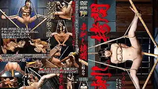 猫咪av站精选视频：串刺之拷问。 完整版