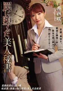 [中文字幕] 还有靠谱上班门票瞬间不小心落入陷阱的美秘书小西咲 - 香西咲 - 实时更新的高清猫咪av站资源